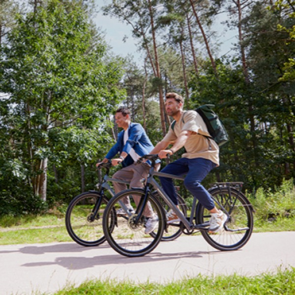 Fietsen tussen de boomtoppen in Belgisch Limburg 